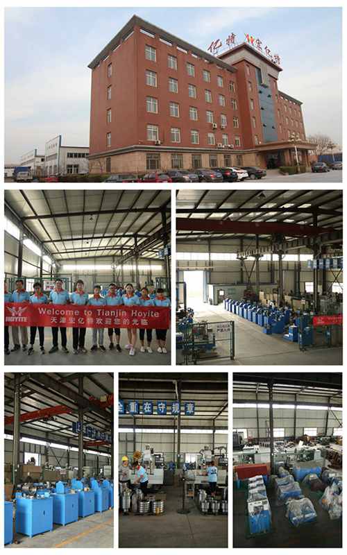 hoyite factory